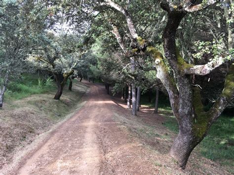 sendero molino del corcho|Ruta Molino del Corcho, en Cazalla de la Sierra (Sevilla)